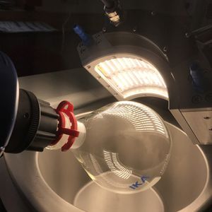 photobioréacteur de laboratoire