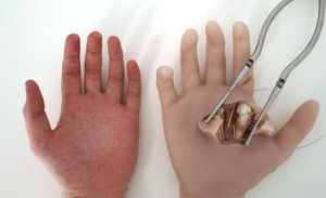 simulateur de chirurgie / de formation / main