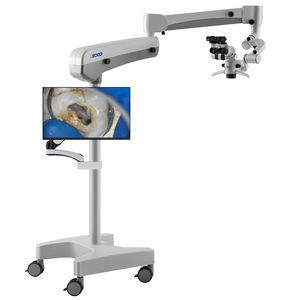 microscope optique