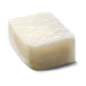 substitut osseux allogreffe