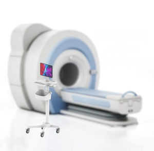 chariot en acier inoxydable