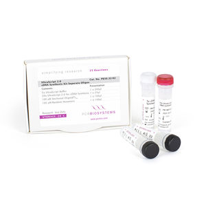 kit de réactifs transcriptase inverse