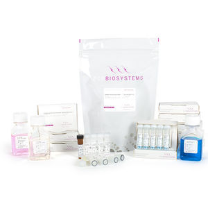 kit de réactifs Taq polymérase
