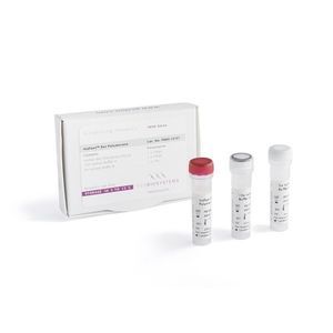 kit de réactifs pour l'amplification isotherme