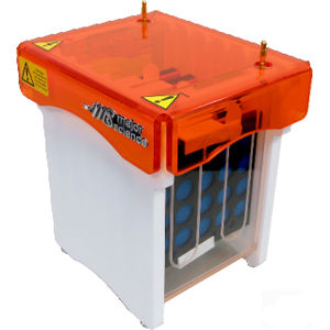 cuve de blotting pour western blot