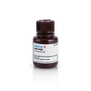 réactif solution de coloration