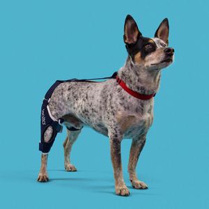appui-genou