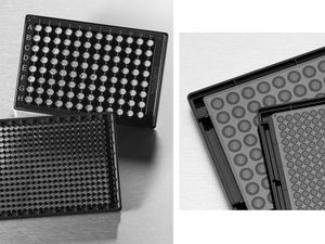 microplaque de fluorescence