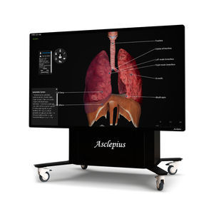 table d'anatomie pour la formation