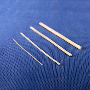 modèle anatomique de microchirurgie