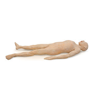 modèle d'anatomie corps