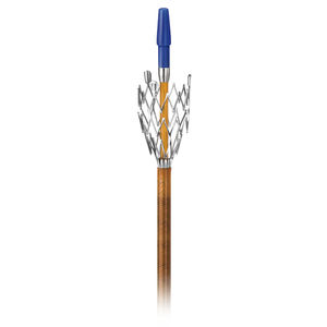 stent périphérique