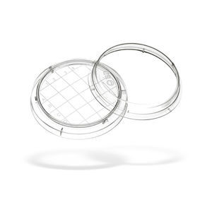 boîte de Pétri avec grille de comptage