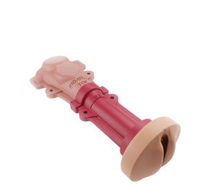 modèle anatomique vaginal