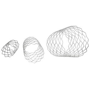 stent coronarien