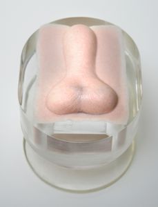 mannequin de formation pour soins généraux
