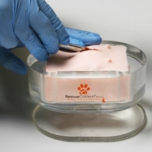 simulateur pour ovariohystérectomie