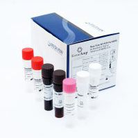 kit de test de la grippe