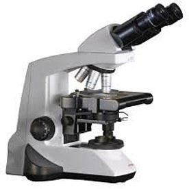 microscope optique