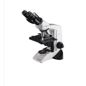 microscope optique