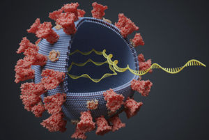 kit de test pour maladies infectieuses