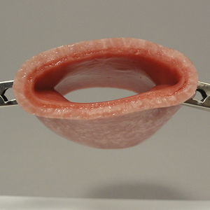 modèle anatomique de suture / vaginal / pour soins gynécologiques / de formation