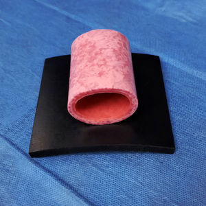 modèle anatomique vaginal