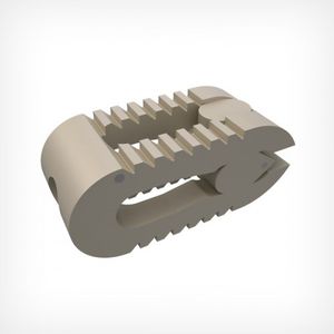 cage intersomatique thoraco-lombaire