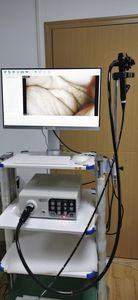 gastroscope vétérinaire
