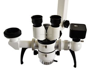 microscope optique