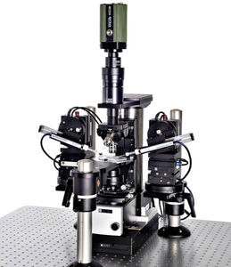 microscope optique