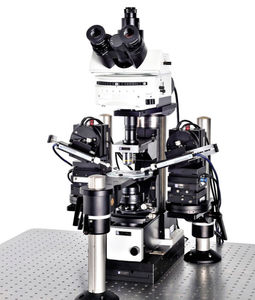 microscope optique