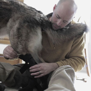 orthèse vétérinaire pour chien