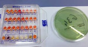 kit de test pour analyse d'identification