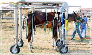 chariot brancard de transport / d'urgence / pneumatique / vétérinaire