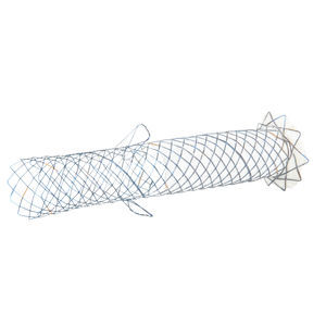 stent pancréatique