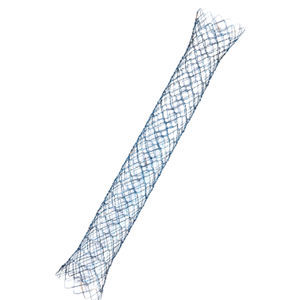 stent pylorique