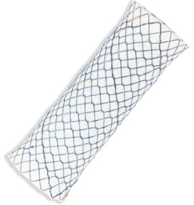 stent trachéal