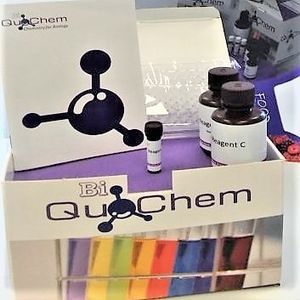 kit de réactifs pour quantification d'ADN