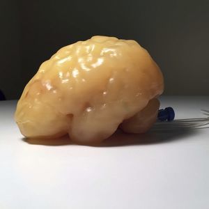 fantôme de test pour échographie