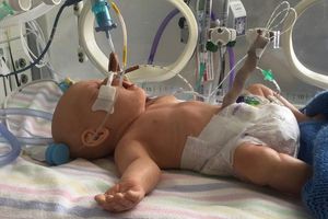 simulateur patient de bébé