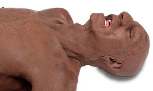 simulateur patient de formation