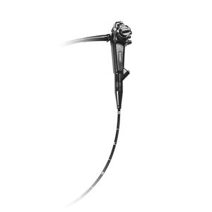 bronchoscope vétérinaire vidéo