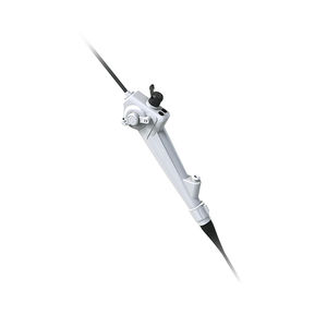 gastroscope vétérinaire vidéo