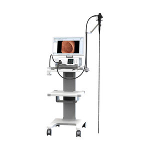 bronchoscope vétérinaire vidéo