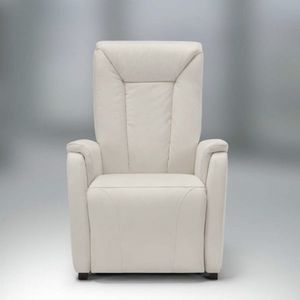 fauteuil releveur inclinable