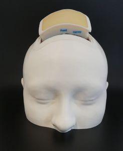 simulateur de neurochirurgie