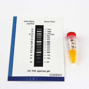 kit de réactifs enzyme