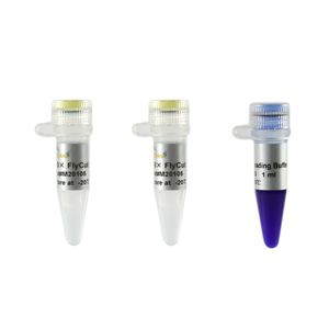 réactif enzyme