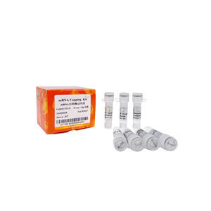 kit de réactifs enzyme